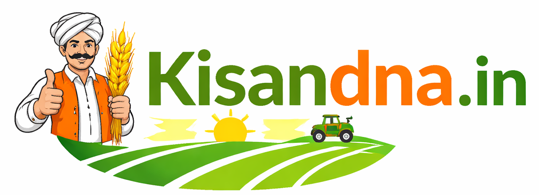 kisandm.in